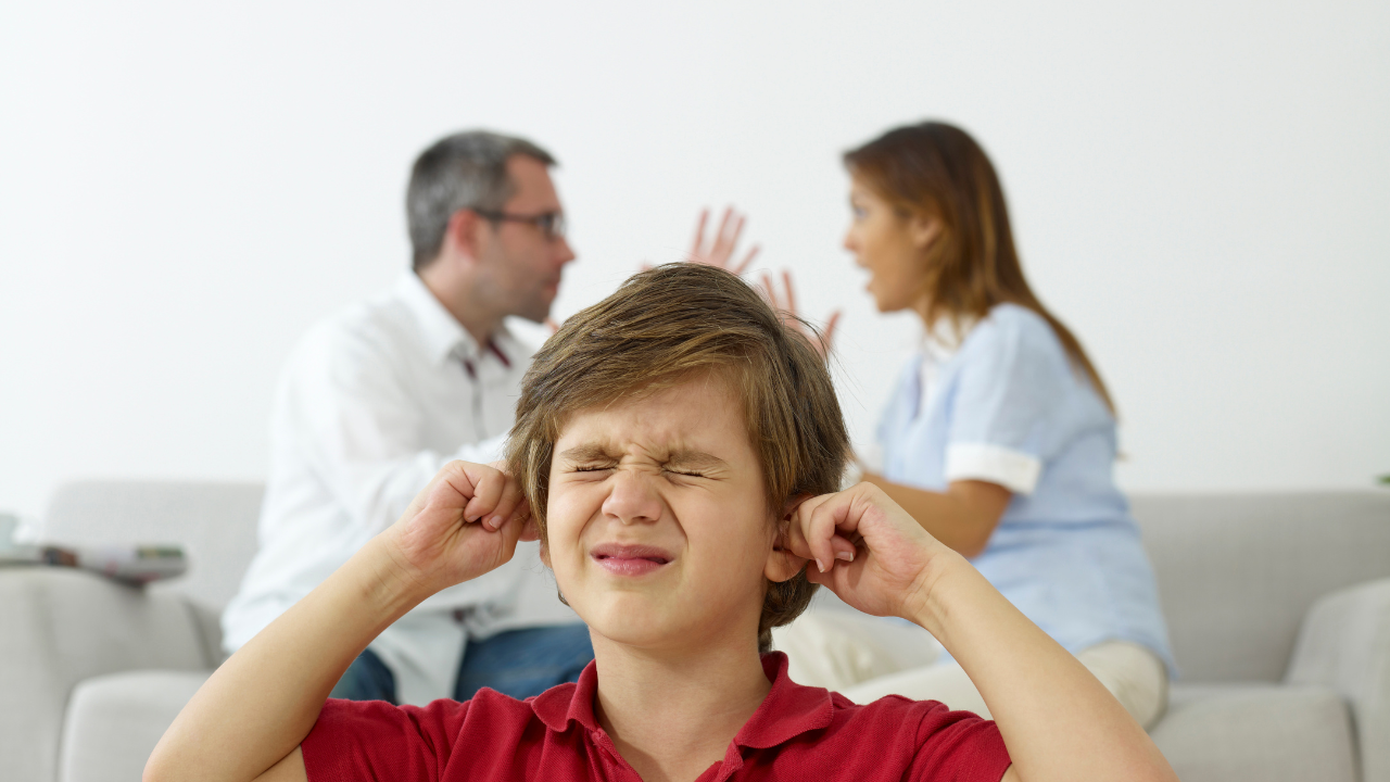 romper el ciclo víctima perpetrador